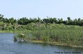 High Island_20100424_001